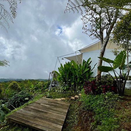 Harsa Eco Luxury Camp Hotel Gobleg  Bagian luar foto