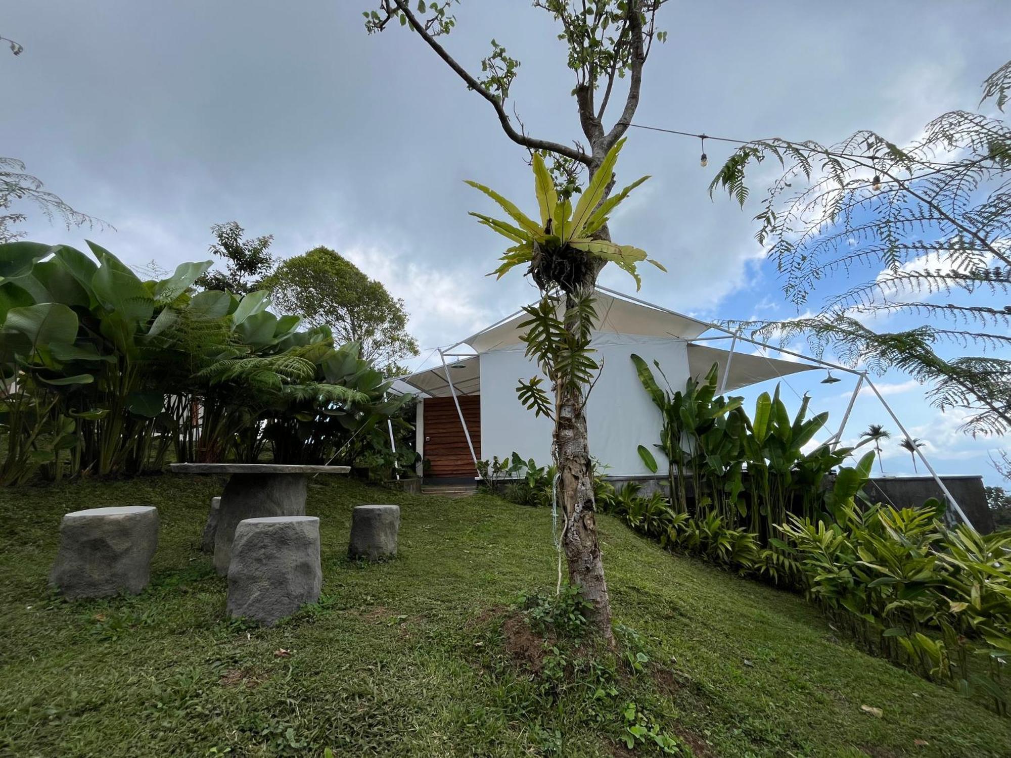 Harsa Eco Luxury Camp Hotel Gobleg  Bagian luar foto