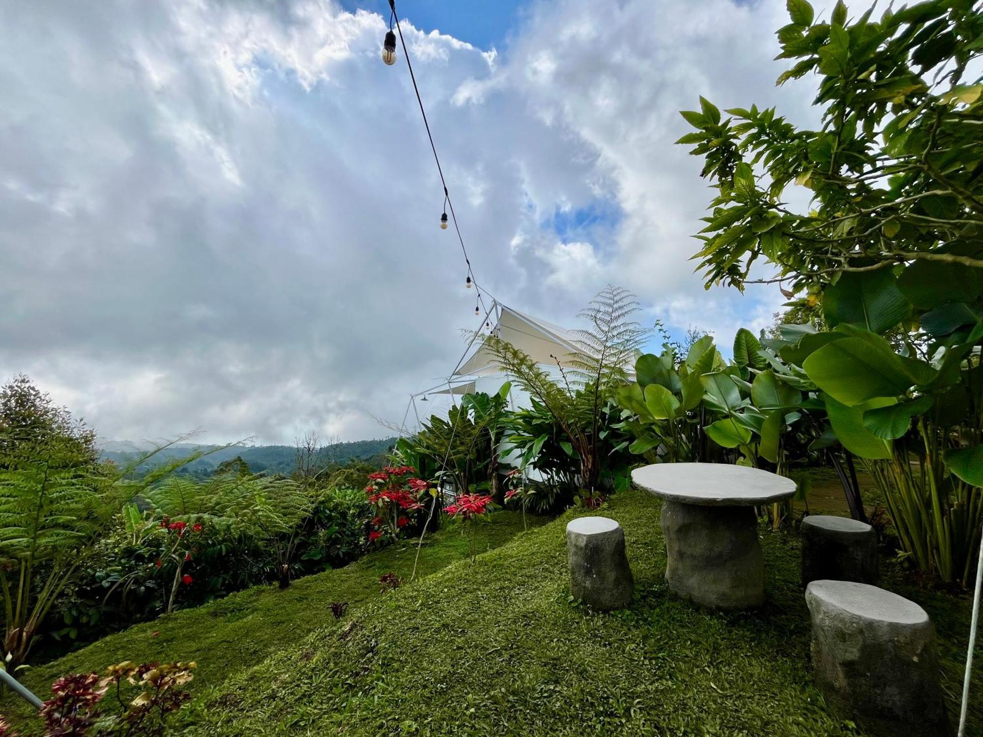 Harsa Eco Luxury Camp Hotel Gobleg  Bagian luar foto