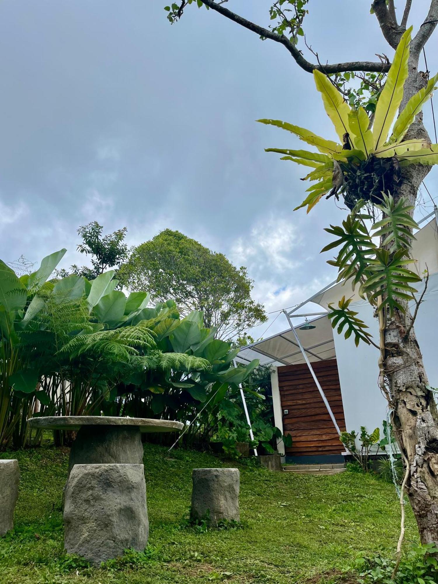 Harsa Eco Luxury Camp Hotel Gobleg  Bagian luar foto