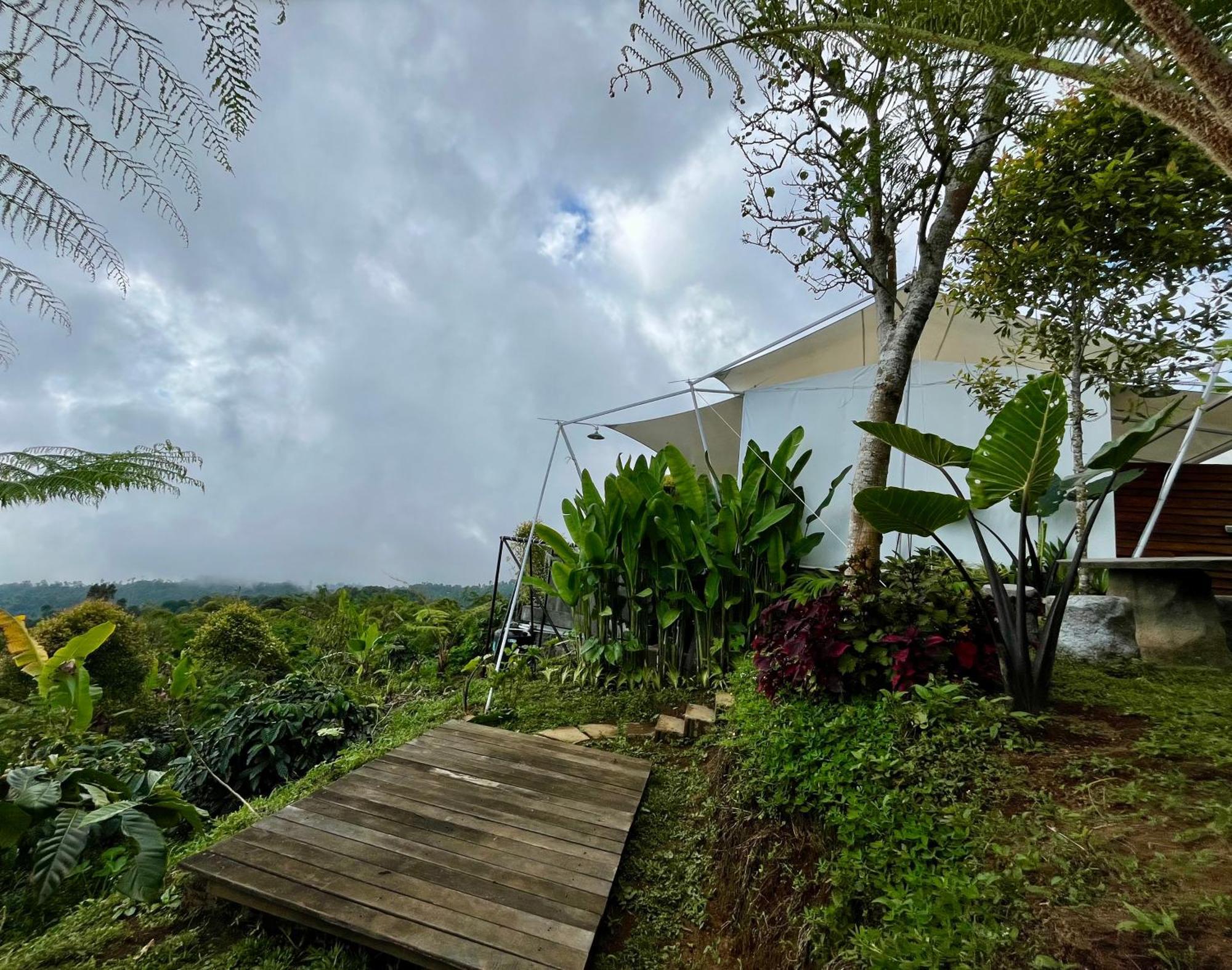Harsa Eco Luxury Camp Hotel Gobleg  Bagian luar foto