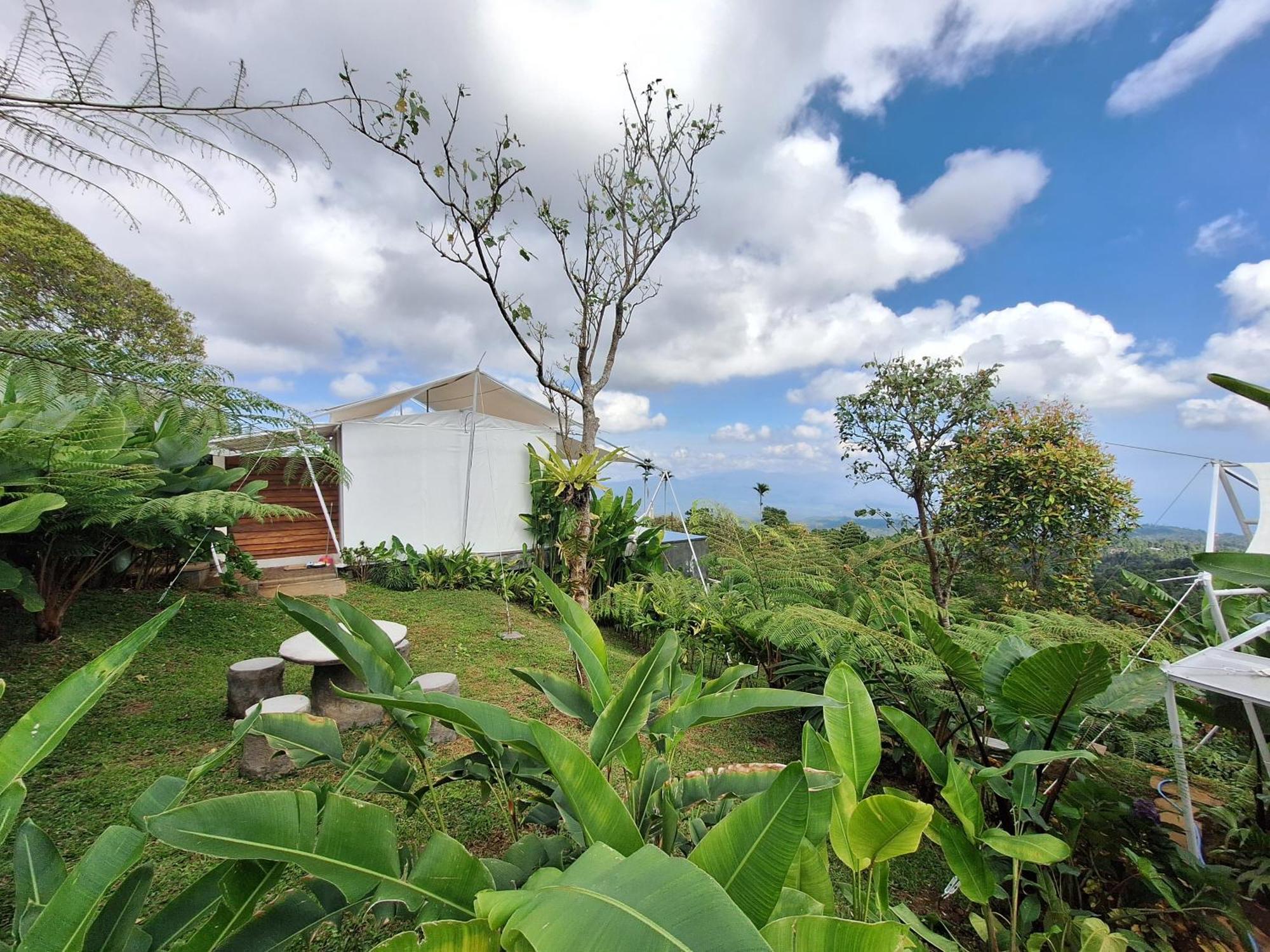 Harsa Eco Luxury Camp Hotel Gobleg  Bagian luar foto
