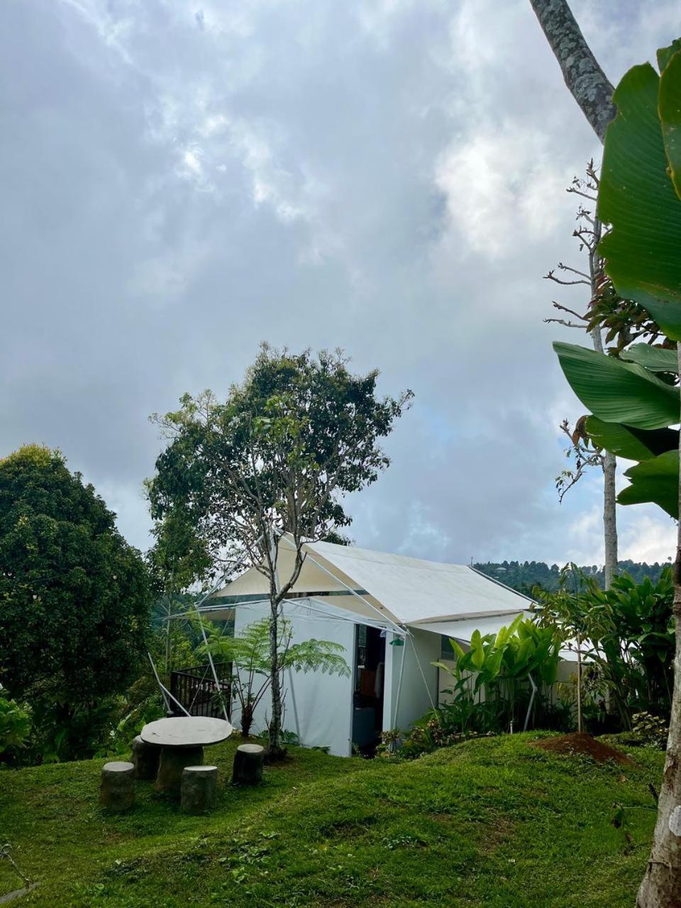 Harsa Eco Luxury Camp Hotel Gobleg  Bagian luar foto