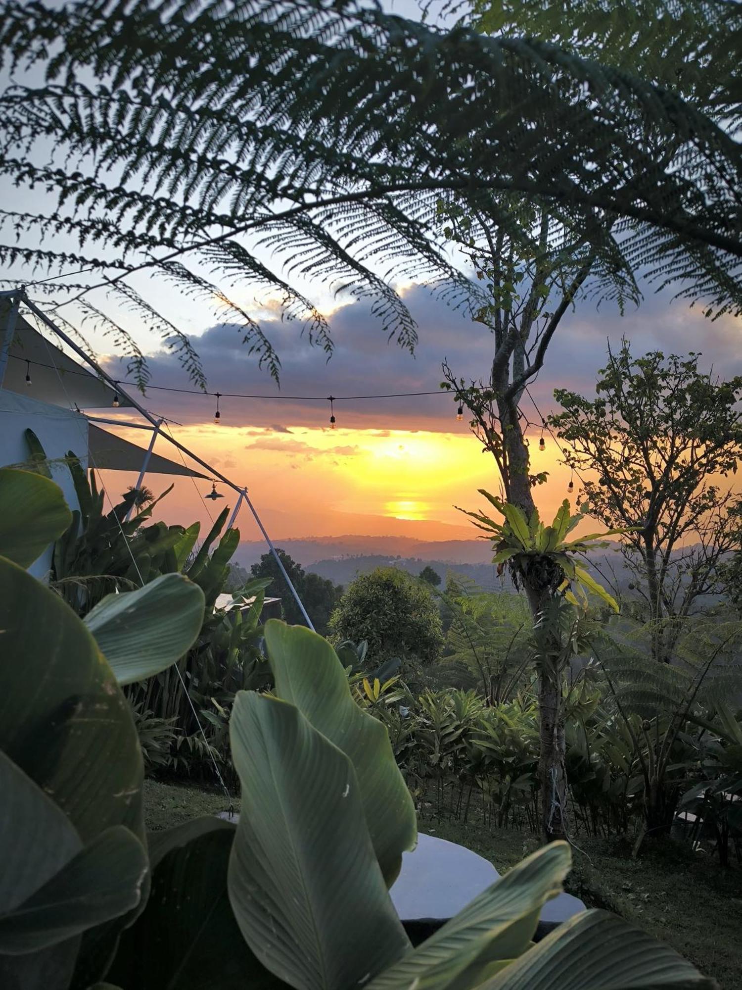 Harsa Eco Luxury Camp Hotel Gobleg  Bagian luar foto